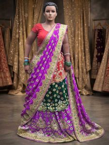 Beautiful Embroidered Lehenga saree
