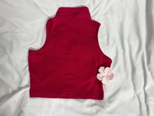 Burgundy Red Ribbed Polo Crop Top 🌸