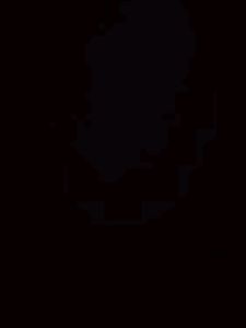 Test T4