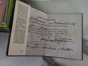 The Birth of Marilyn Book