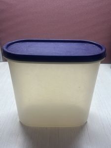 Tupperware Plastic Food Container with Lid