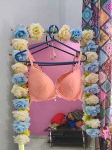 Lace Padded Bra