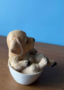 Adorable Puppy in a Teacup Figurine