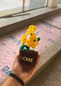 Decorative Potted Flowers for Home
