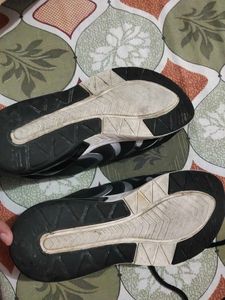 unisex Sparx Running Shoes