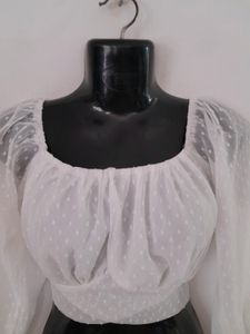 Off White Crop Top (Women's)
