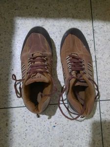 Men's Brown Casual Shoes