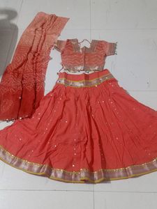 Traditional Indian Lehengacholi Set