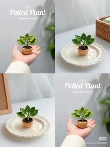 Handmade Crochet Potted Plant Decor