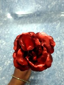 Golden stem Rose