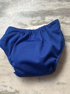 Blue Cloth Diaper