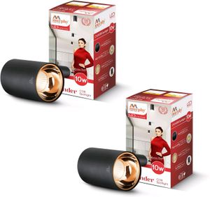 New Murphy 15w Spot Light 2 Pc