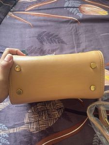 baggit Elegant Tan Handbag