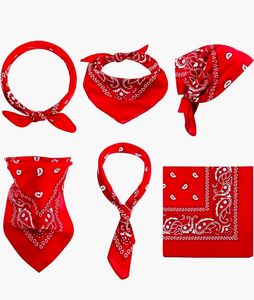 Red Paisley Bandana Scarf