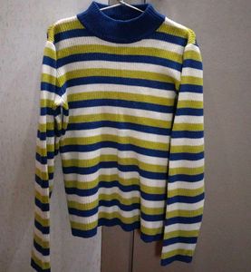 Striped Knit Turtleneck Sweater