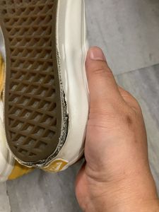 Vans shoes