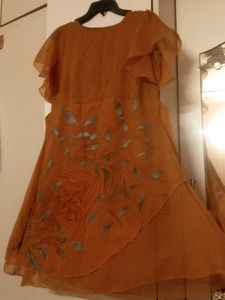 Beautiful Orange Ethnic Gown