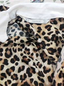 zara  mae in morrocco  Medium size