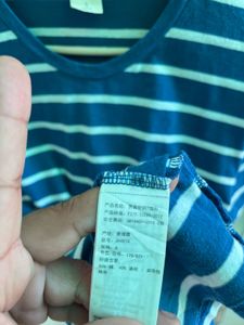 Hollister Striped T-Shirt (T551)