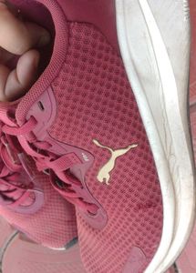 Maroon Puma Sneakers