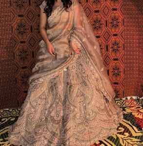 Exquisite Embellished Lehenga Choli Set