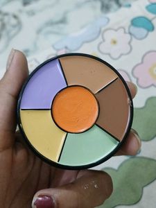 Insight Pro Concealer Palette