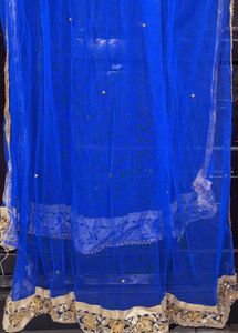 Royal Blue Net Dupatta with Embellishments