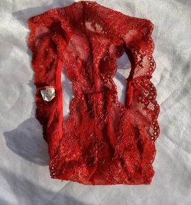Sheer Lace Red Briefs