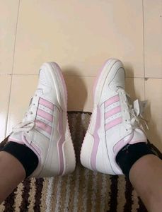 Adidas original forum low cl w