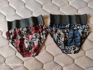 Ladies Briefs Set Of 2