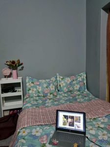 Comforter 1 Bedsheet 2 Pillow Cover Comb