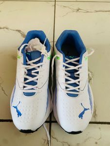 Puma Cricket Shoes -  New