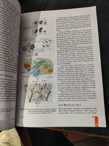 Science Textbook for Class IX