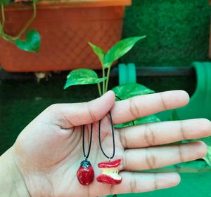 Apple and ladybug combo Charm Necklace