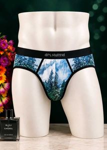 🇳🇿💫🎀Men's Scenic Print Briefs