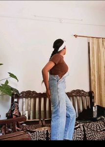 Light Wash Denim Overalls