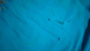 Beautiful Teal Embroidered Silk Saree