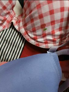 💜99Rs SALE💜Two-Pack Bras: Gingham &amp; Blue