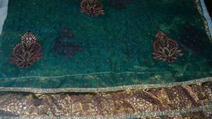 Elegant Green Embellished saree