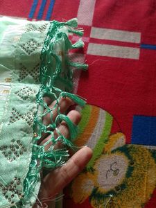Elegant Pastel Green Saree