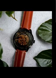 Fossil Townsman