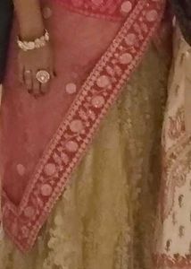 Gorgeous Gold Embroidered Lehenga