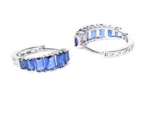 Blue Gemstone Hoop Earrings