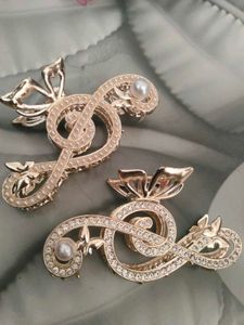 Elegant Musical Note Hair Claw Clips 💞