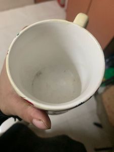 Hand-painted Fish Design Ceramic Mug