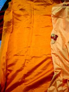 Elegant Orange Saree with Embroidery
