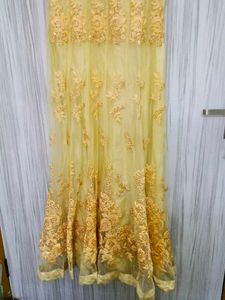 Beautiful Long Party Wear Gown