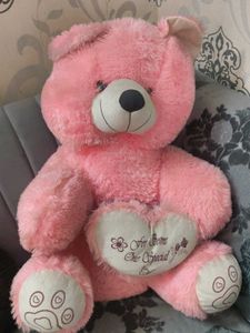 🥹🧸Cute Pink Teddy Bear 💕💕