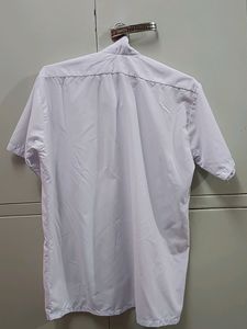 White Shirt Pack Of -2😍