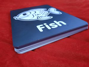 NB FLASH CARDS
